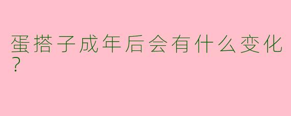 蛋搭子成年后会有什么变化？