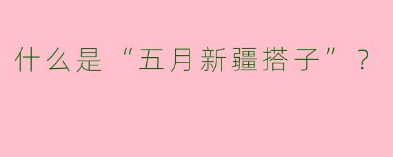 什么是“五月新疆搭子”？  