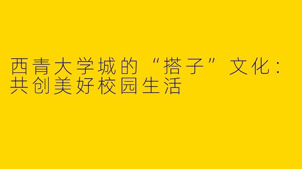 西青大学城的“搭子”文化：共创美好校园生活