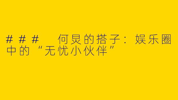 ### 何炅的搭子：娱乐圈中的“无忧小伙伴”
