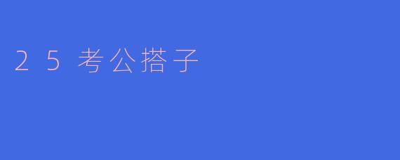 25考公搭子的求职之路：携手共赴梦想