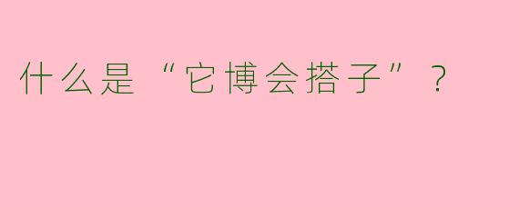 什么是“它博会搭子”？  