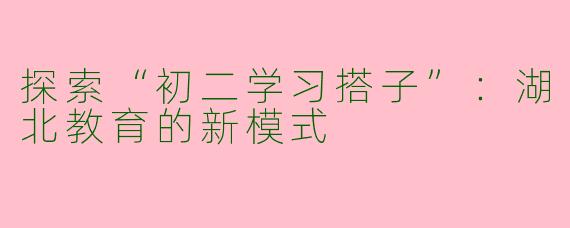探索“初二学习搭子”：湖北教育的新模式