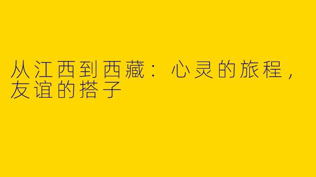 从江西到西藏：心灵的旅程，友谊的搭子