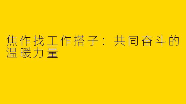 焦作找工作搭子：共同奋斗的温暖力量