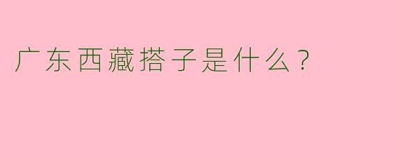 广东西藏搭子是什么?