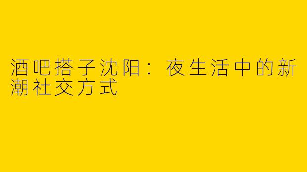 酒吧搭子沈阳：夜生活中的新潮社交方式