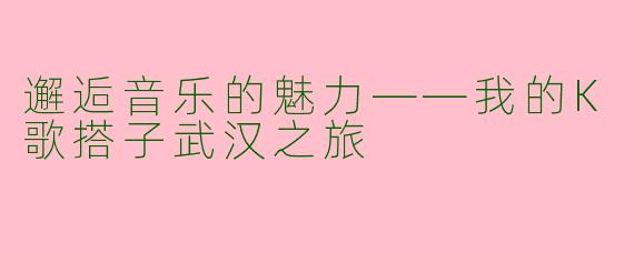 邂逅音乐的魅力——我的K歌搭子武汉之旅