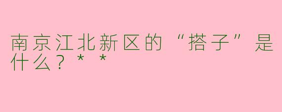 南京江北新区的“搭子”是什么？**