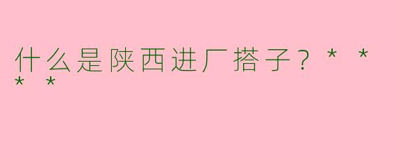 什么是陕西进厂搭子?****