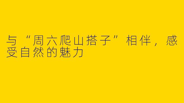 与“周六爬山搭子”相伴,感受自然的魅力