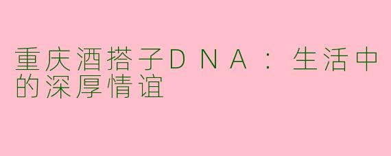 重庆酒搭子DNA：生活中的深厚情谊