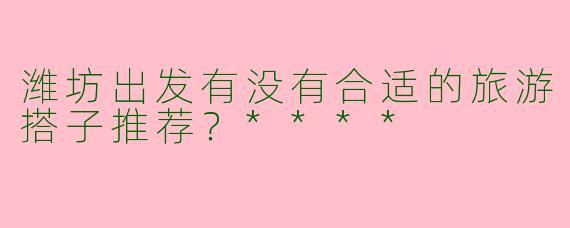 潍坊出发有没有合适的旅游搭子推荐?****