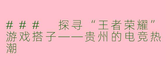 ### 探寻“王者荣耀”游戏搭子——贵州的电竞热潮