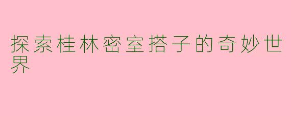 探索桂林密室搭子的奇妙世界