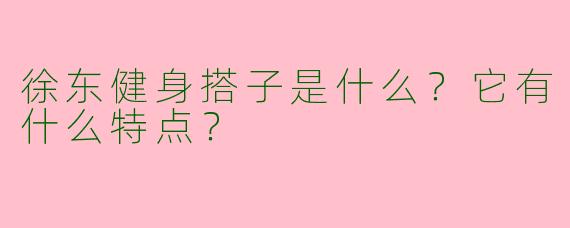 徐东健身搭子是什么？它有什么特点？  