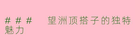 ### 望洲顶搭子的独特魅力