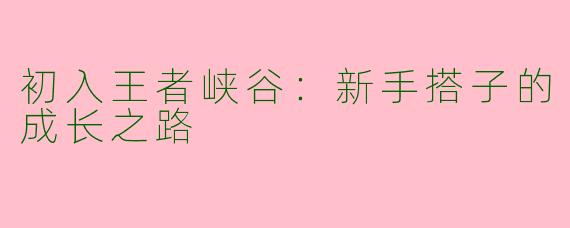 初入王者峡谷：新手搭子的成长之路