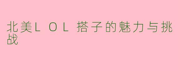 北美LOL搭子的魅力与挑战