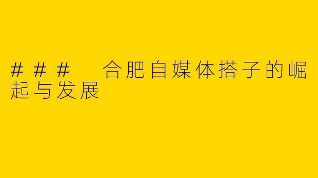 ### 合肥自媒体搭子的崛起与发展