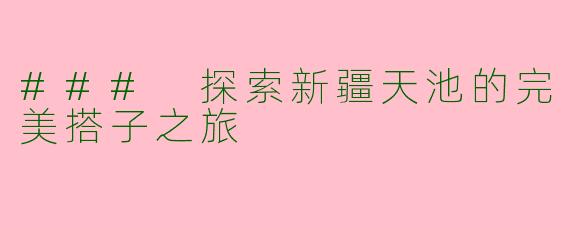 ### 探索新疆天池的完美搭子之旅
