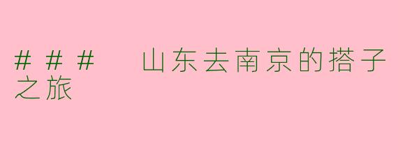 ### 山东去南京的搭子之旅