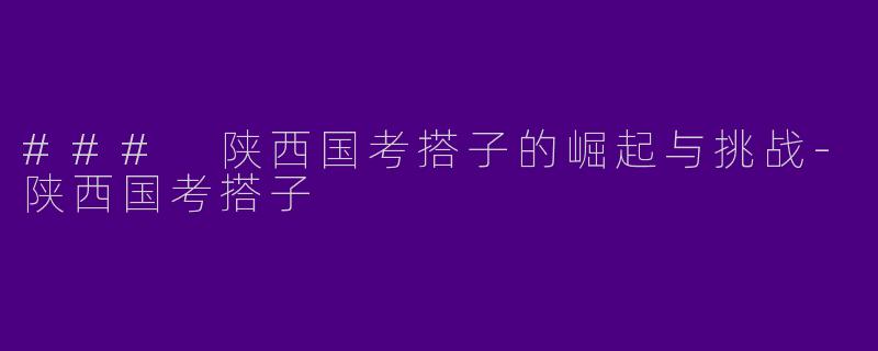 ### 陕西国考搭子的崛起与挑战-陕西国考搭子