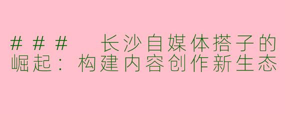 ### 长沙自媒体搭子的崛起：构建内容创作新生态