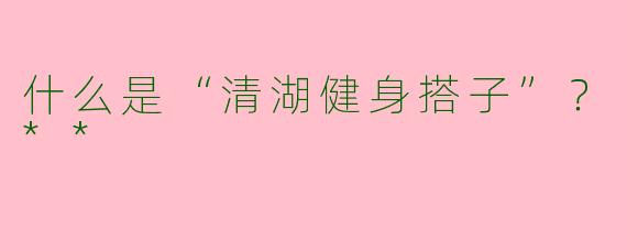 什么是“清湖健身搭子”?**