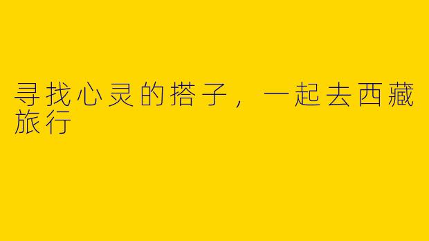 寻找心灵的搭子，一起去西藏旅行