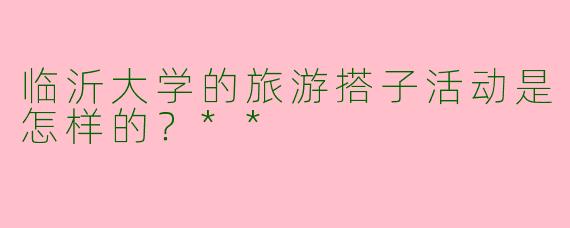 临沂大学的旅游搭子活动是怎样的？**