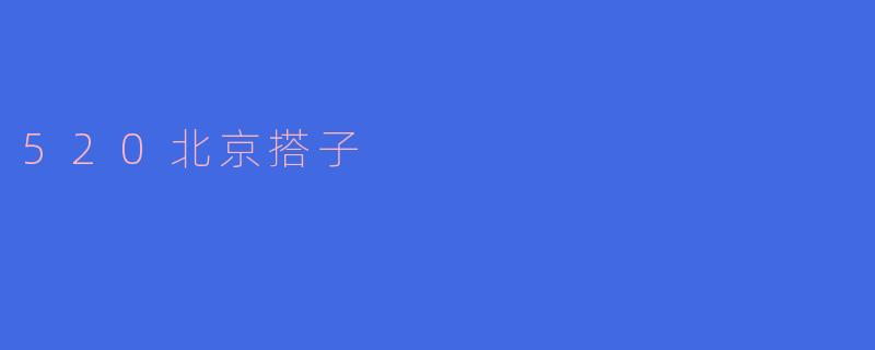 520北京搭子