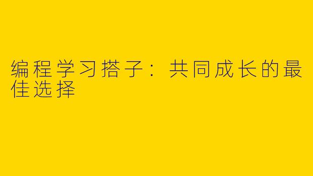 编程学习搭子：共同成长的最佳选择