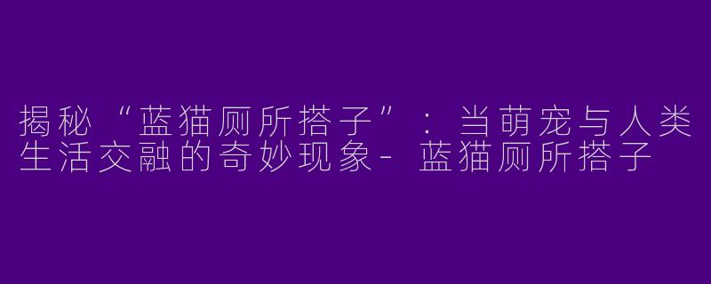揭秘“蓝猫厕所搭子”：当萌宠与人类生活交融的奇妙现象-蓝猫厕所搭子