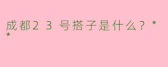 成都23号搭子是什么？**