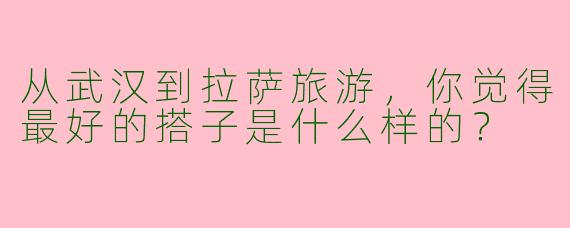 从武汉到拉萨旅游，你觉得最好的搭子是什么样的？