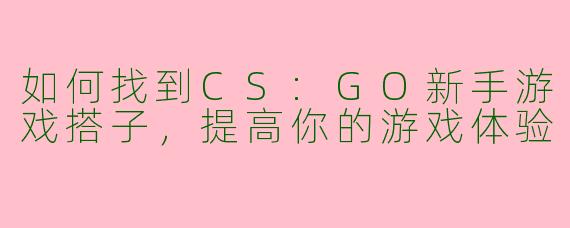 如何找到CS:GO新手游戏搭子，提高你的游戏体验