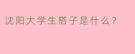 沈阳大学生搭子是什么？  
