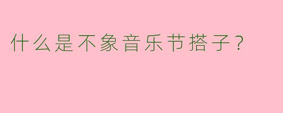 什么是不象音乐节搭子？
