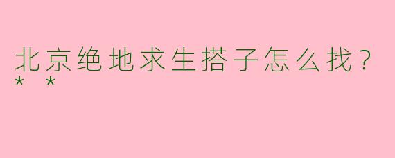 北京绝地求生搭子怎么找?**