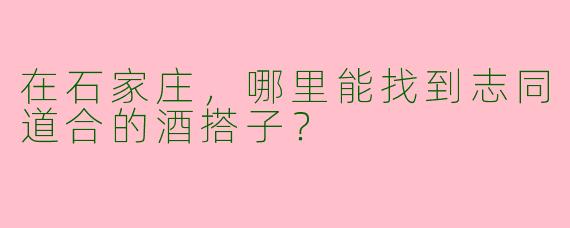 在石家庄，哪里能找到志同道合的酒搭子？