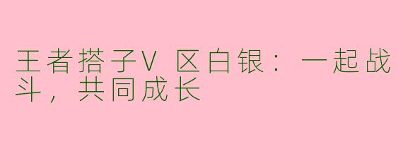 王者搭子V区白银：一起战斗，共同成长