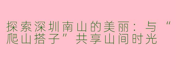 探索深圳南山的美丽：与“爬山搭子”共享山间时光