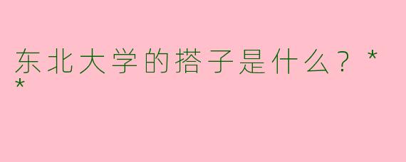东北大学的搭子是什么？**