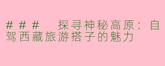 ### 探寻神秘高原：自驾西藏旅游搭子的魅力