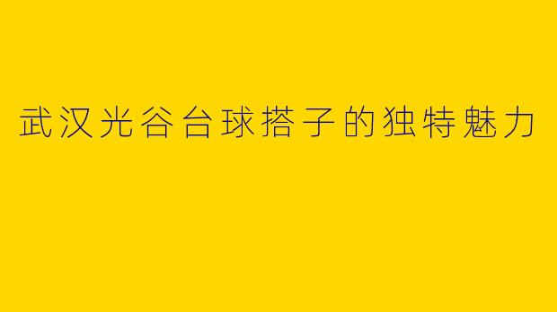 武汉光谷台球搭子的独特魅力