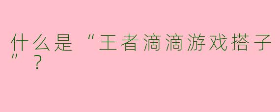 什么是“王者滴滴游戏搭子”？  