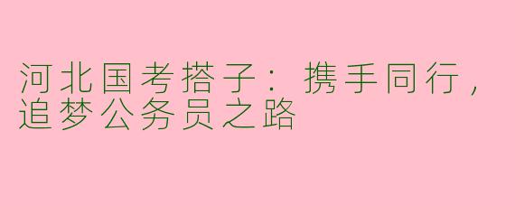 河北国考搭子：携手同行，追梦公务员之路