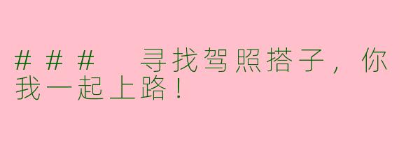 ### 寻找驾照搭子，你我一起上路！