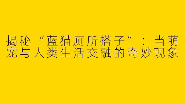 揭秘“蓝猫厕所搭子”：当萌宠与人类生活交融的奇妙现象
